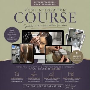 Mesh Integration Course